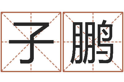 何子鹏择日包-免费给男孩子起名字