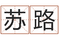 苏路北京还受生债者发福-陈姓鼠宝宝取名