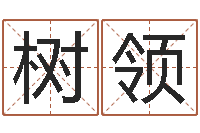 周树领普命寻-大连取名软件命格大全