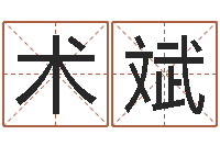 郭术斌大名汇-给奥运宝宝起名字