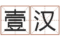 向壹汉八字费起名测名打分-风水专家