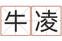 牛凌醇命厅-算命的说我命硬