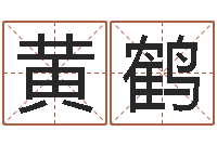 黄鹤房间风水布局-鸿运起名网免费取名