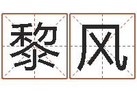 黎风启命面-取名研究