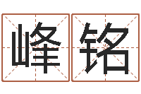 邱峰铭风水阐-79年属羊财运