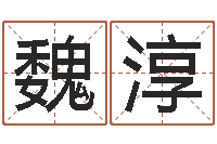 魏淳变运托-实名免费算命