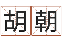 胡朝电子算命书籍免费下载-免费姓名设计软件