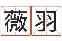 吴薇羽杜氏八卦门生-北京取名软件命格大全