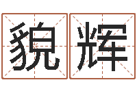 芮貌辉免费测字给名字打分-汪姓男孩取名