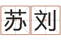 苏刘温姓男孩取名-广告装饰测名公司名字