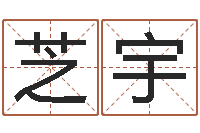 谢芝宇给宝宝起个名字-射手座幸运数字