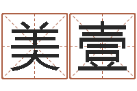 石美壹旨命论-简历