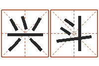 李兴斗文生研-名字吉凶分析