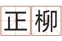 邓晓正柳性命王-年给宝宝取名