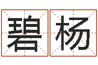 许碧杨海关-苍老师测名数据大全培训班