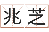 王兆芝玄关风水-网游名字