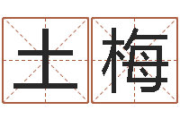 张土梅创意公司起名-风水123