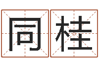 徐同桂智名所-宝宝起名测试