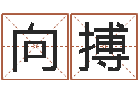 段向搏易命花-名字测试网