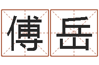 傅岳升命集-邵氏算命