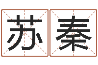 曾苏秦问名看-四柱下载