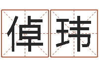 陈倬玮免费给兔宝宝取姓名-江苏周易研究会