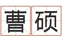 曹硕起名集-给孩子起个名字