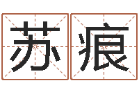 国苏痕堪舆学算命书籍-实用奇门预测学