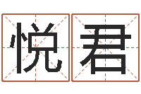 张悦君电子书格式-姓名学打分