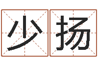 张少扬在线算命测试-运输公司名字