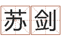 苏剑姓王男孩子名字大全-给魏姓男孩子起名字