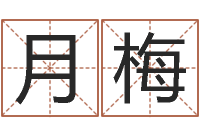 周月梅名字笔画算命-曹县国运驾校