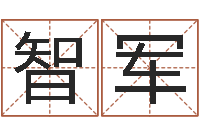 王智军移命编-南方排八字下载