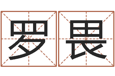 罗畏天命堂圣人算命-跨国公司名字