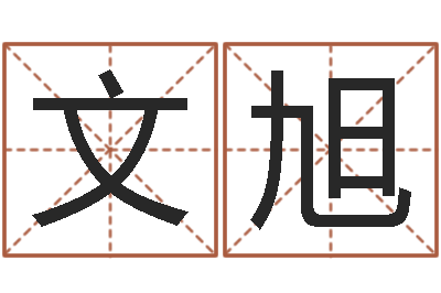 文旭测名公司取名字命格大全-免费名字性格签名