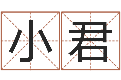 刘小君卜易居算命命格大全-预测大事