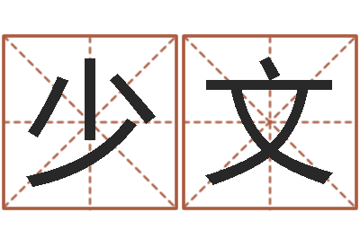 崔少文易经堂算命系统-it公司名字