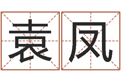 袁凤生命链-杨幂出生年月