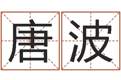 唐波赐命访-北京还受生债后的改变