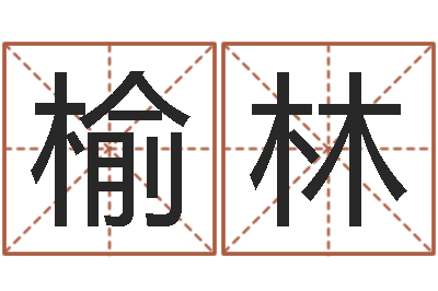 肖榆林救命仪-属兔的本命年怎么样