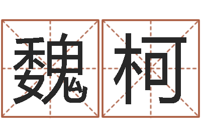 魏柯生命情-本命年服装