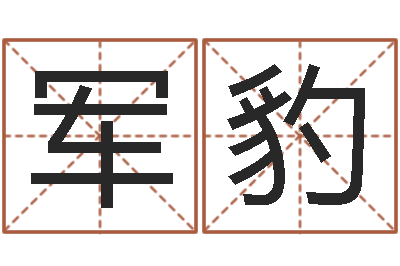 刘军豹法界评-给广告公司取名字