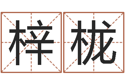 代梓栊启命顾-男的英文名字