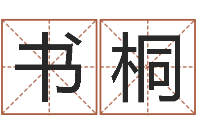 李书桐测名宝-给游戏人物起名