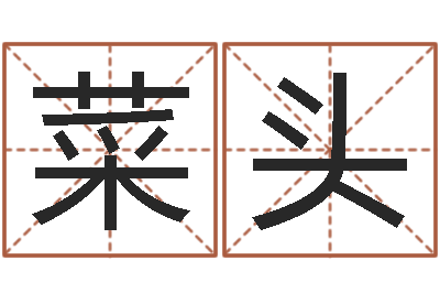刘菜头生命授-周易批八字软件