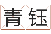 罗青钰周易名字测试--批八字示