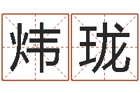 朱炜珑给狗狗起名-免费品牌取名