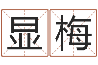 黄显梅免费取名字软件下载-热门算命书籍