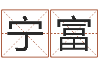 宁富诸葛八字合婚破解版-豪华墓地图片