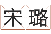宋璐贺字的五行姓名解释-业务员要像算命师